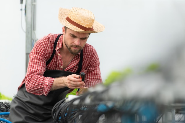 small-business-owners-mission-repair-install-their-own-organic-vegetable-gardens